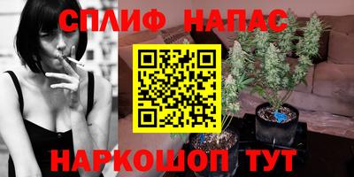 гашик Ливны