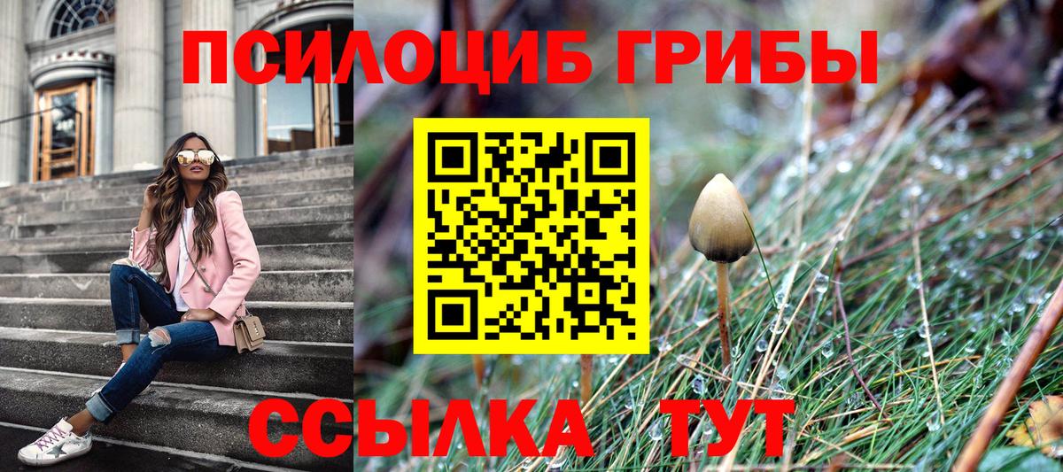 Псилоцибиновые грибы Psilocybine cubensis  Вход с VPN  Кимовск 