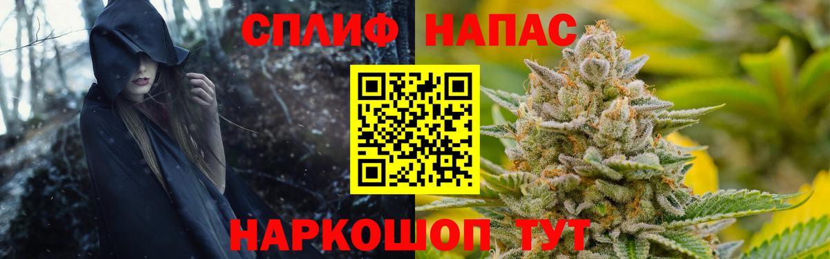 Каннабис планчик Кимовск